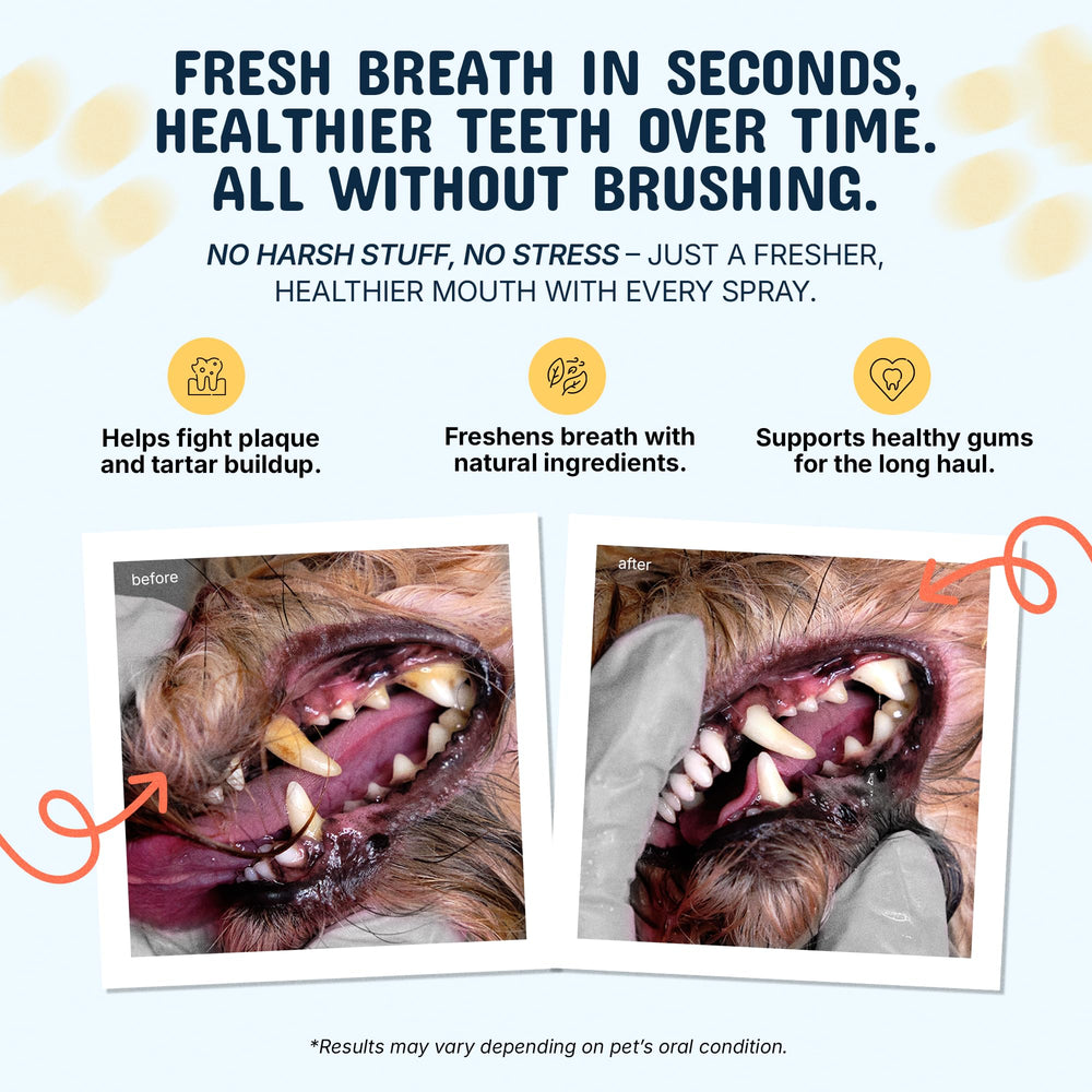 Pets Are Kids Too dental spray being applied directly to a dog's mouth for easy daily use