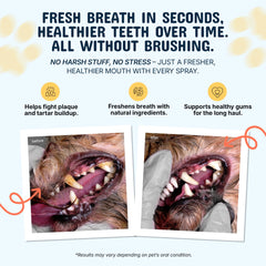 Pets Are Kids Too dental spray being applied directly to a dog's mouth for easy daily use