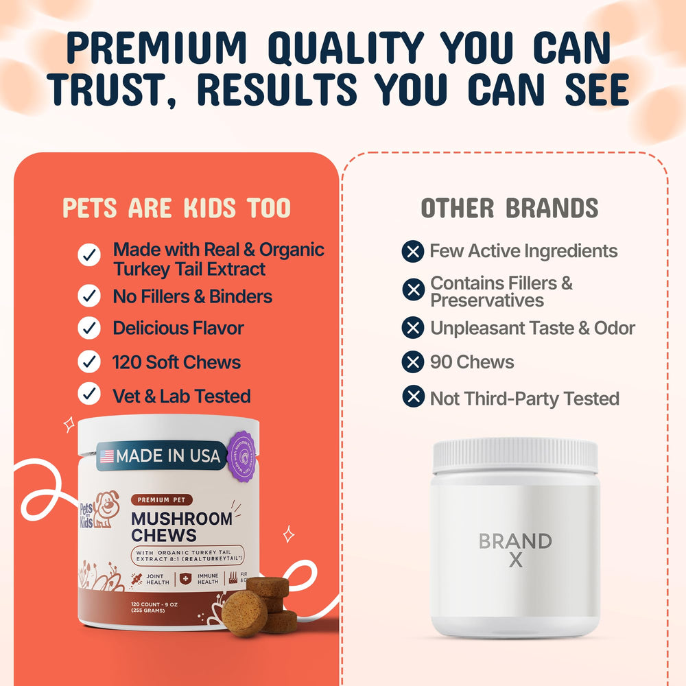 Pets Are Kids Too lions mane chew illustrating brain health support
