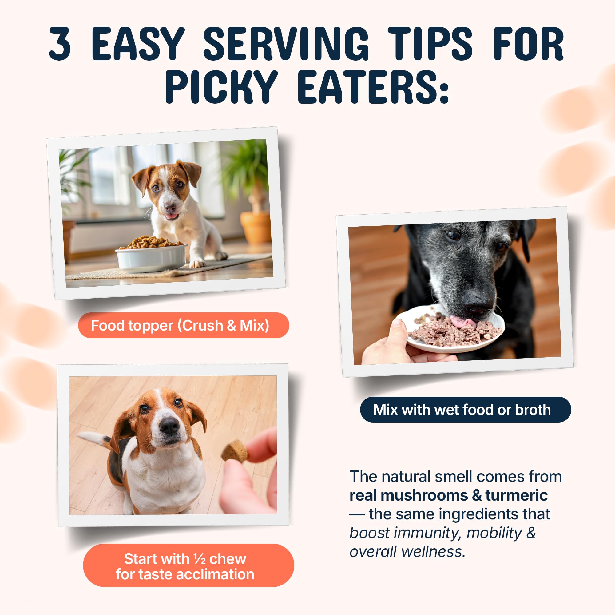 Pets Are Kids Too turkey tail and reishi blend promoting immune and spinal wellness