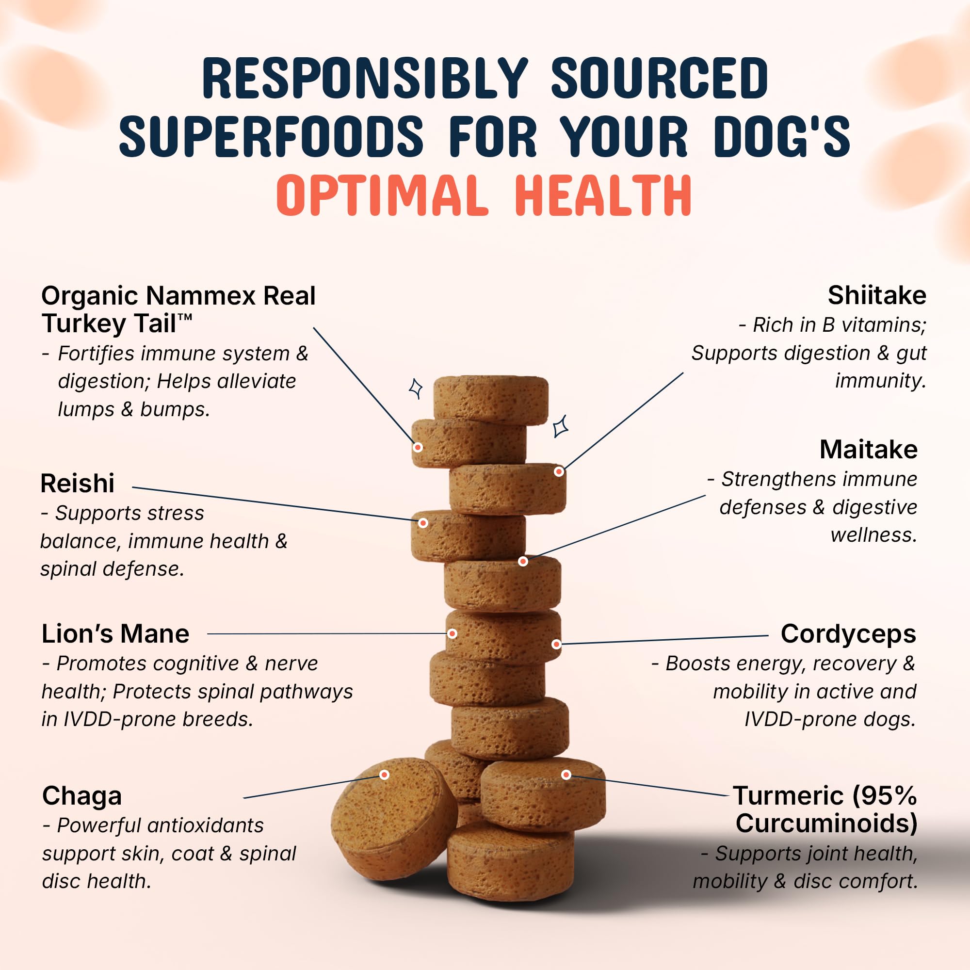 Pets Are Kids Too turmeric-cordyceps-chaga blend in chews promoting joint comfort potential