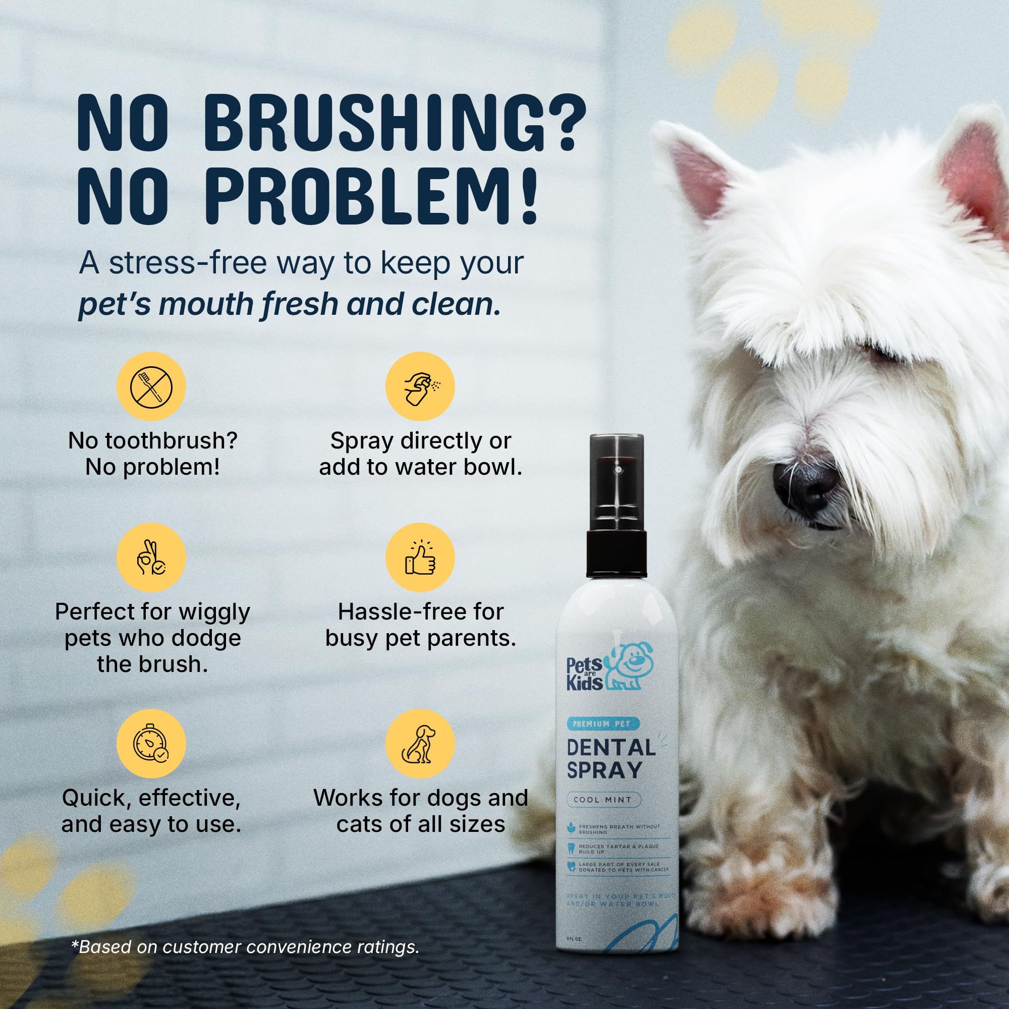 Pets Are Kids Too USA-made label on dental spray packaging