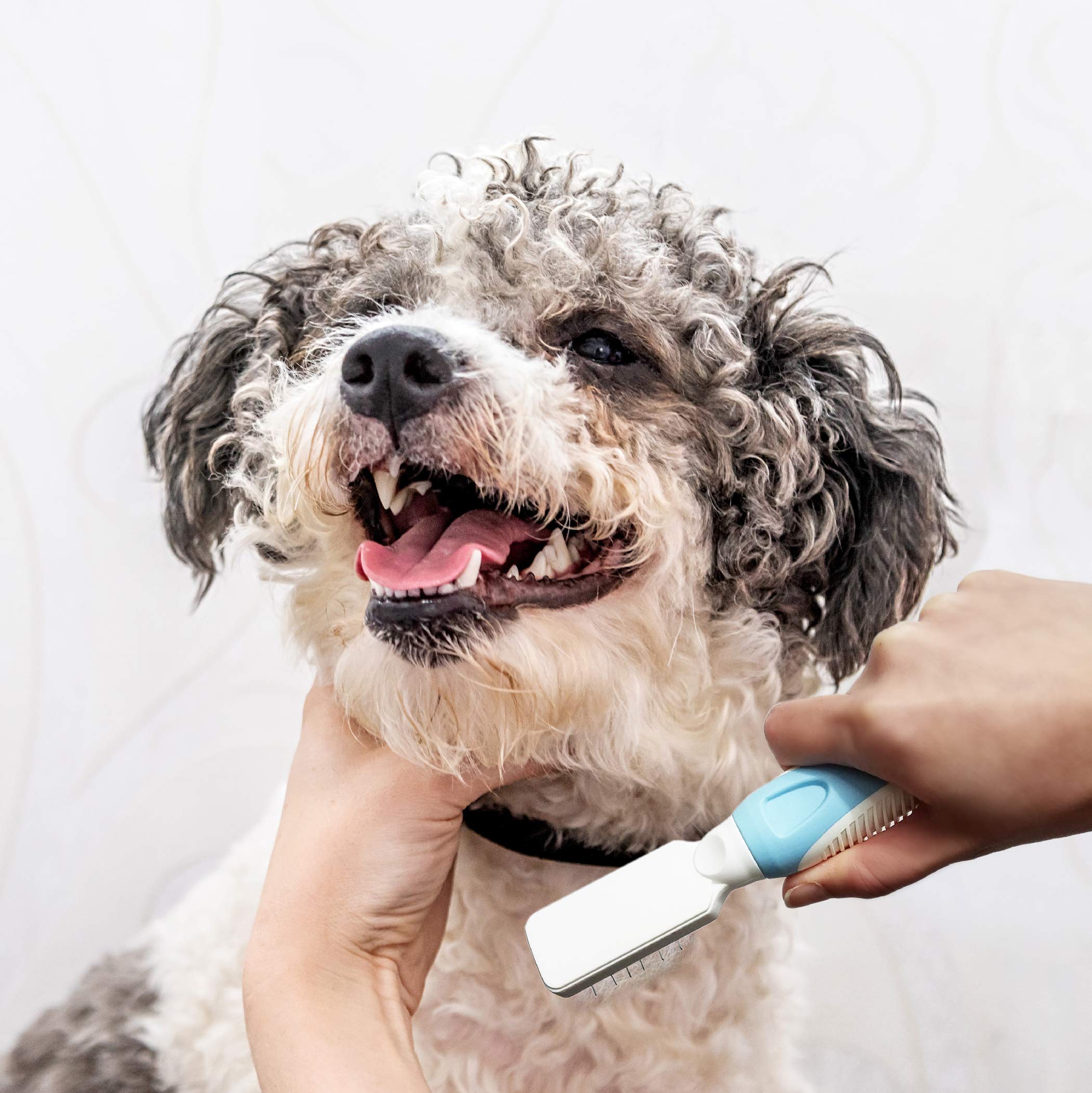 Pets First hair-trapping holes trap shed fur effectively.