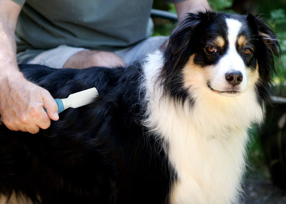 Pets First massage action nourishes coat while removing mats.