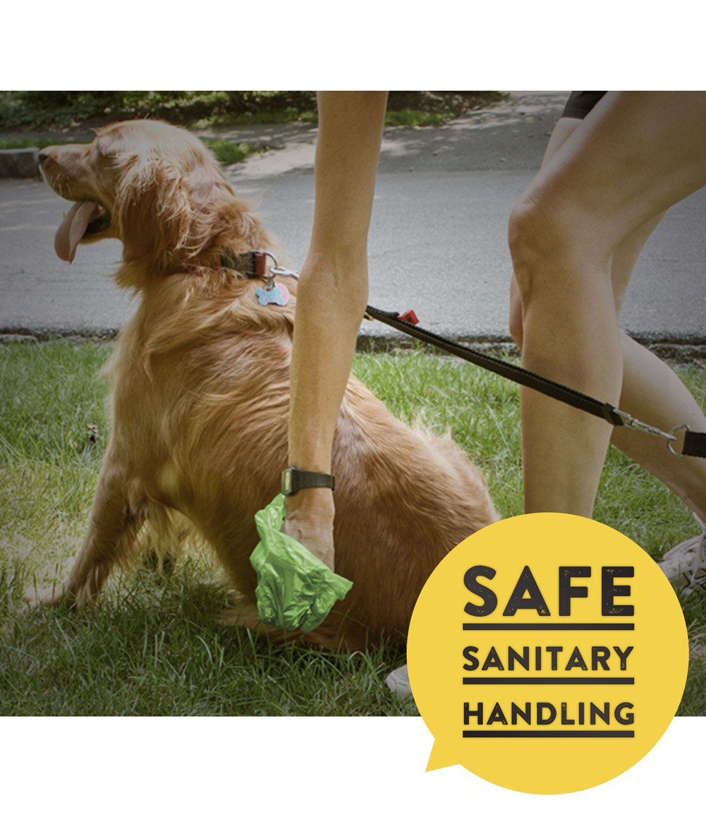 Pets N Bags leash dispenser compatibility for quick on-the-go bag access