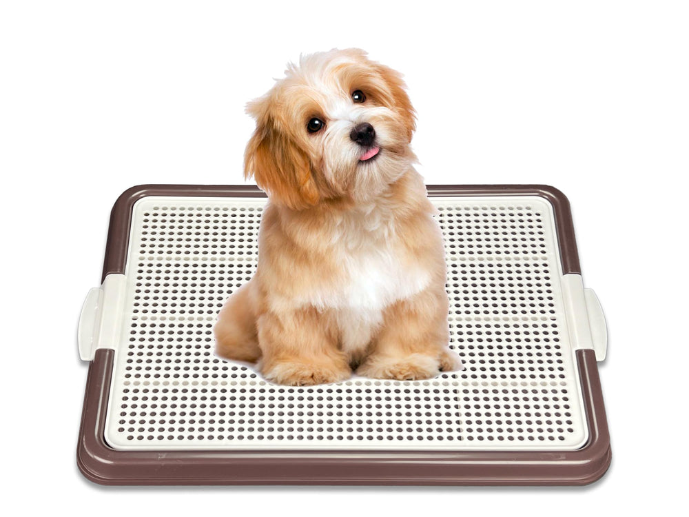 Pets-N-Me dog pee pad holder front view shows secure pad placement for mess-free training