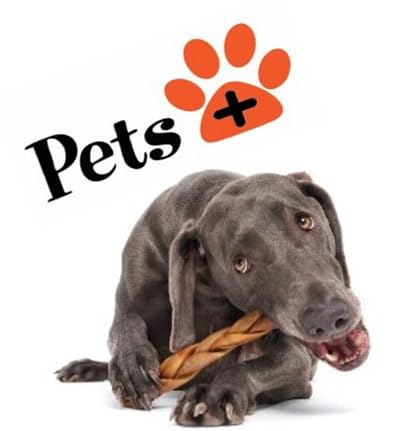 Pets Plus rawhide-free dog treat photo highlights a safer, high-protein option.