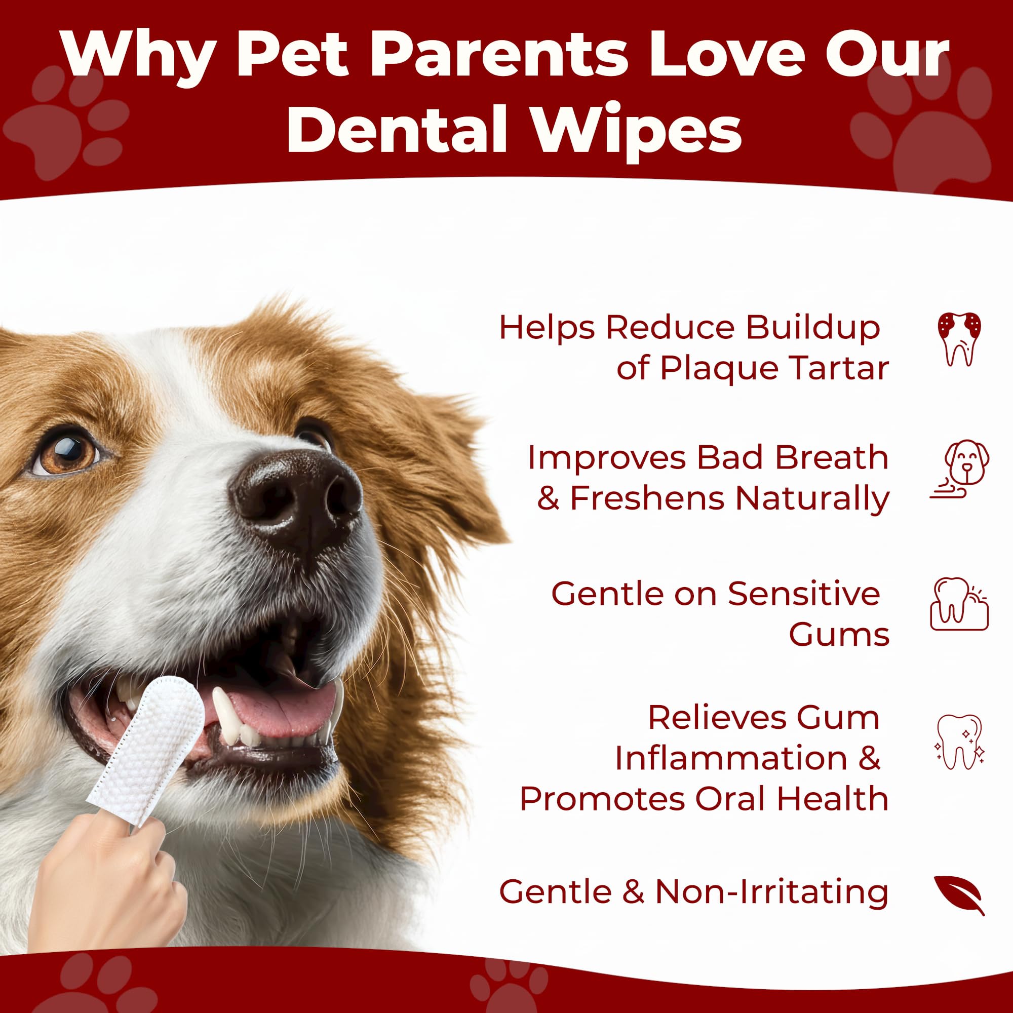 Pets & Pupps dog teeth wipes on finger demonstrate comfortable cleaning.