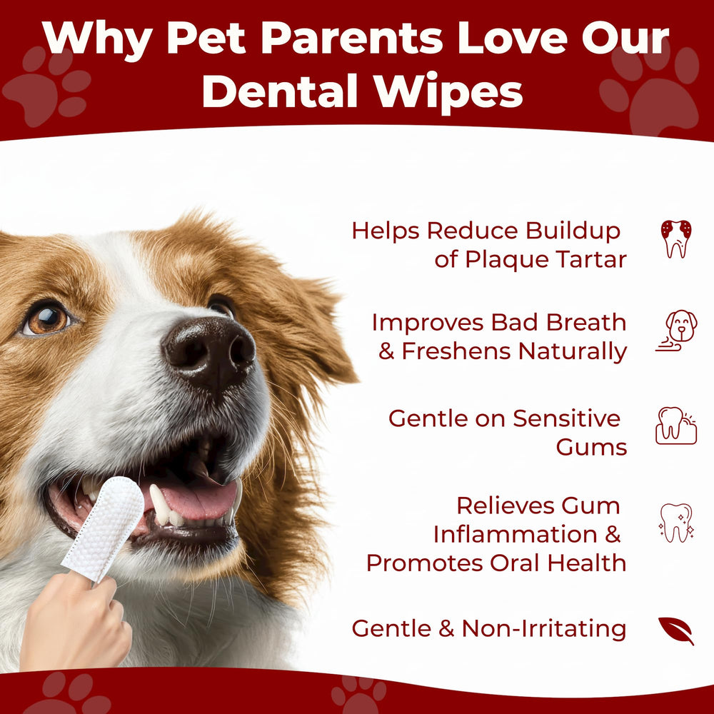 Pets & Pupps dog teeth wipes on finger demonstrate comfortable cleaning.