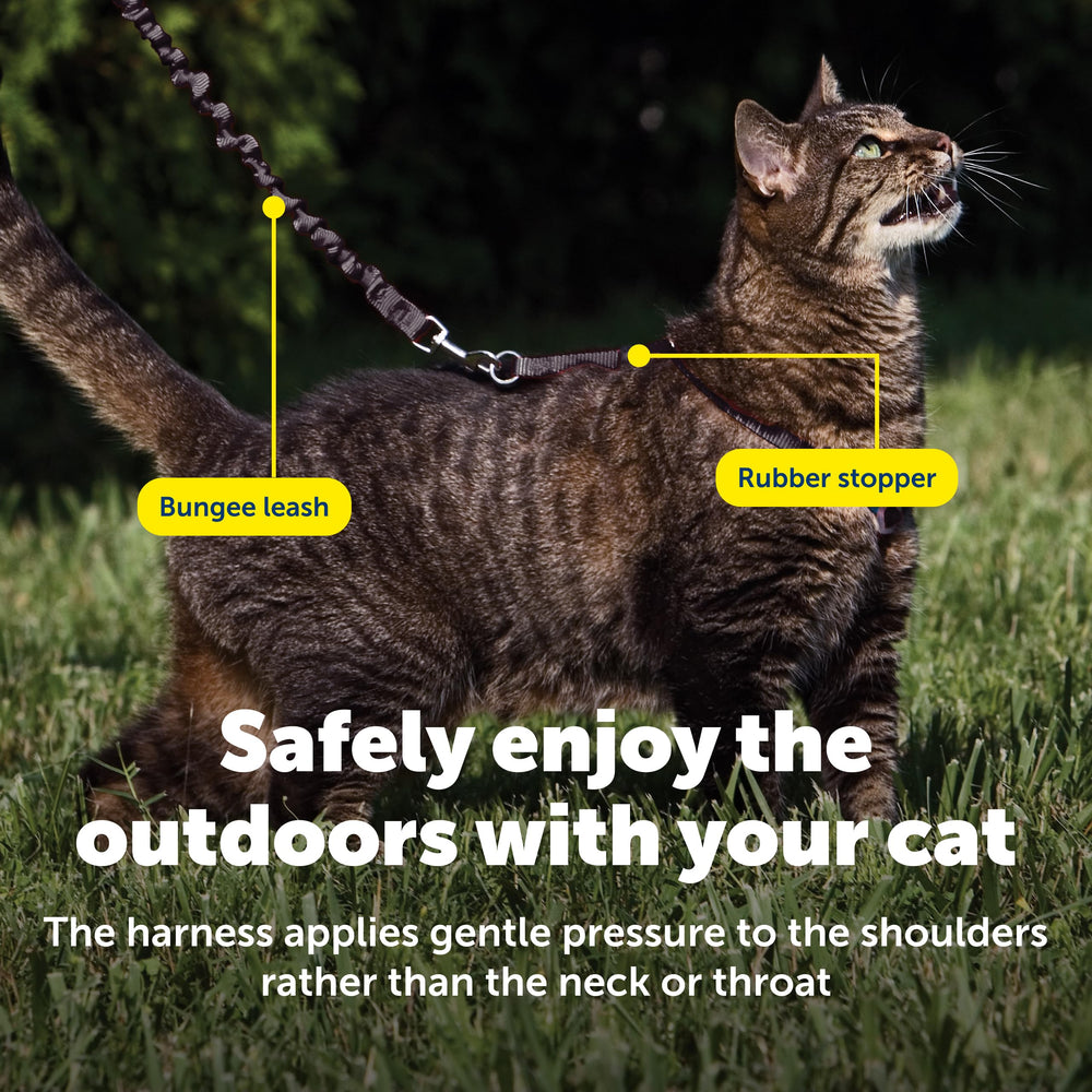 PetSafe Adjustable rubber stopper close-up offers a customizable safety stop.