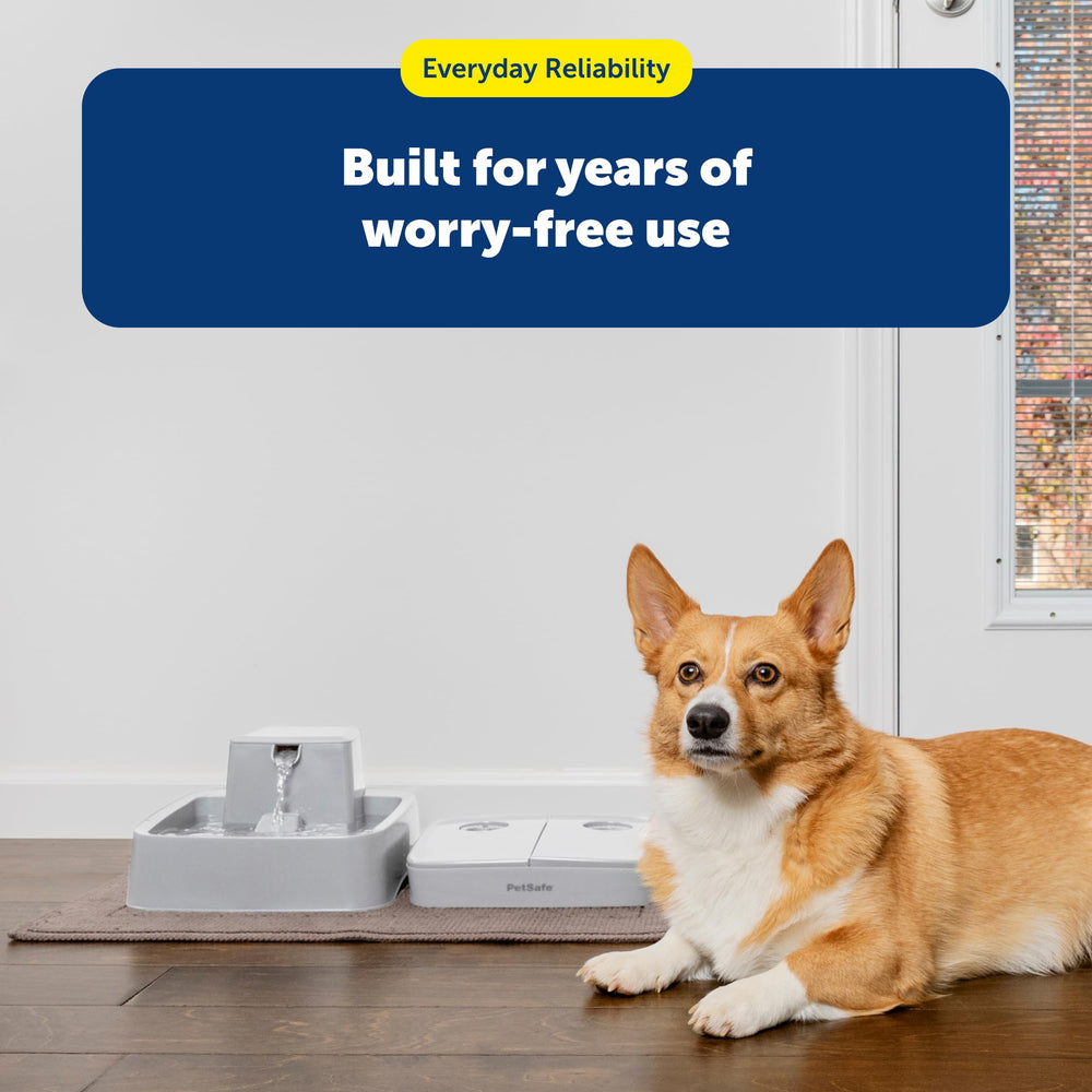 PetSafe Analog 2 Meal Feeder in-use-cat-or-dog image suggests calmer meal times at home.