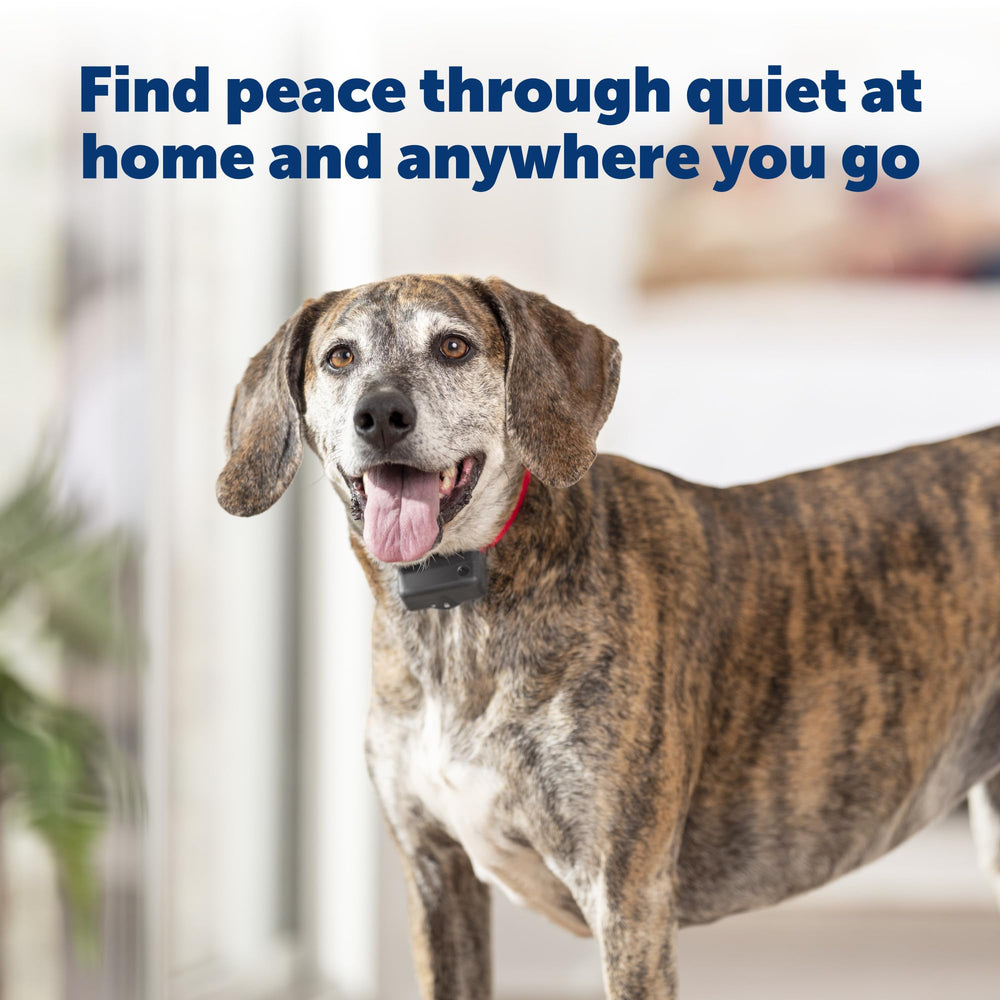 PetSafe Basic Bark Control Collar adjustable neck fits up to 27 inches.