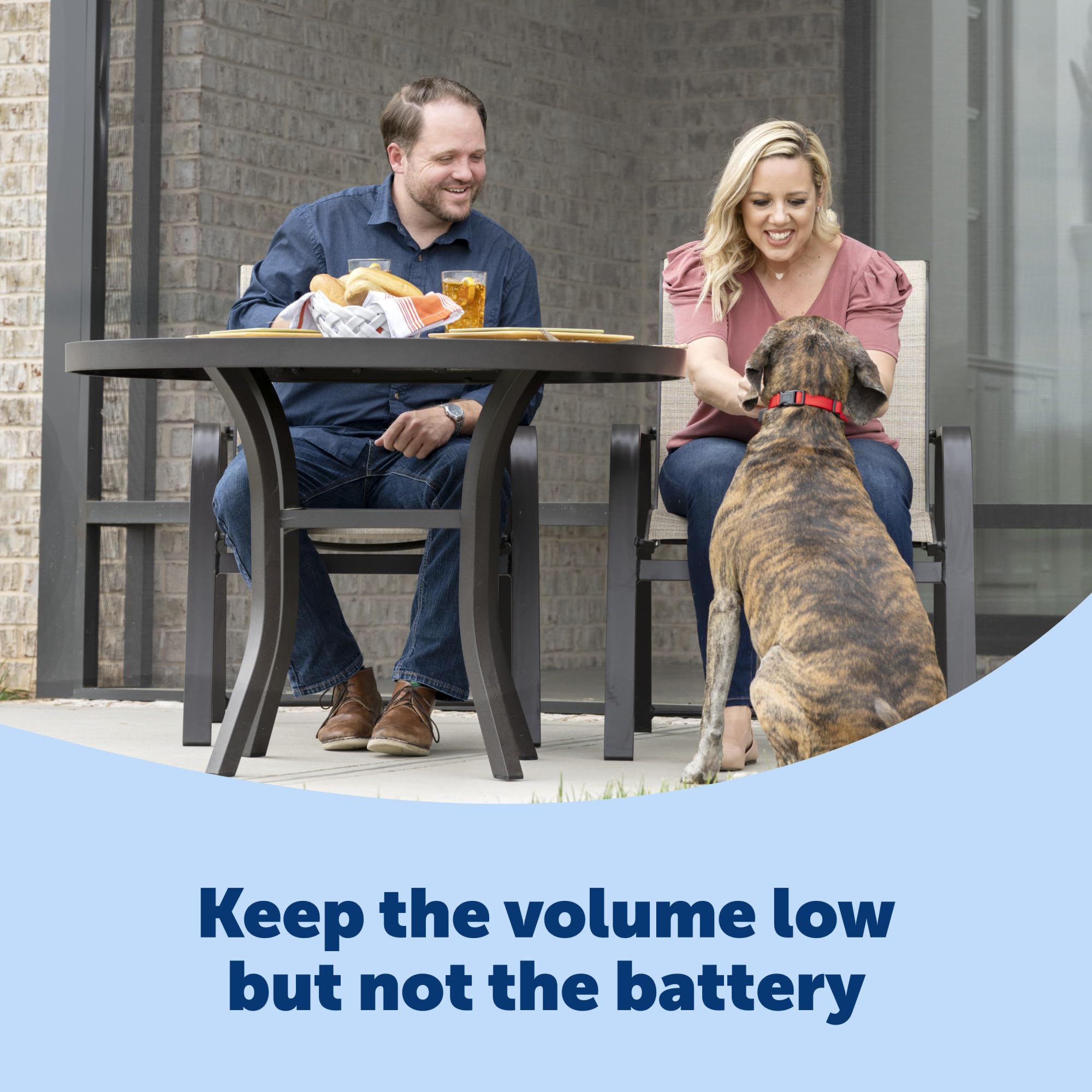 PetSafe Basic Bark Control Collar battery included for immediate use.