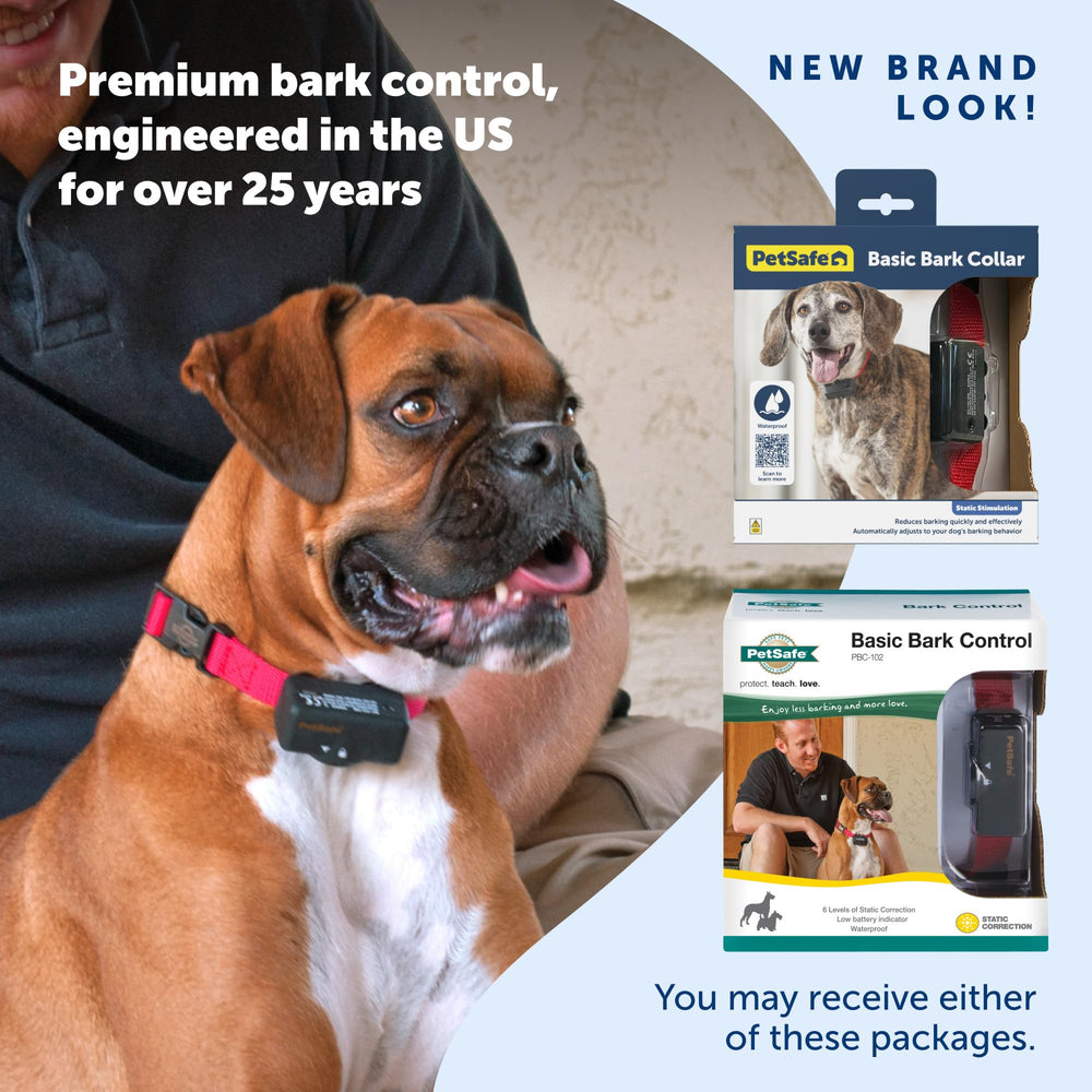 PetSafe Basic Bark Control Collar demonstrates indoor-outdoor versatility for training.