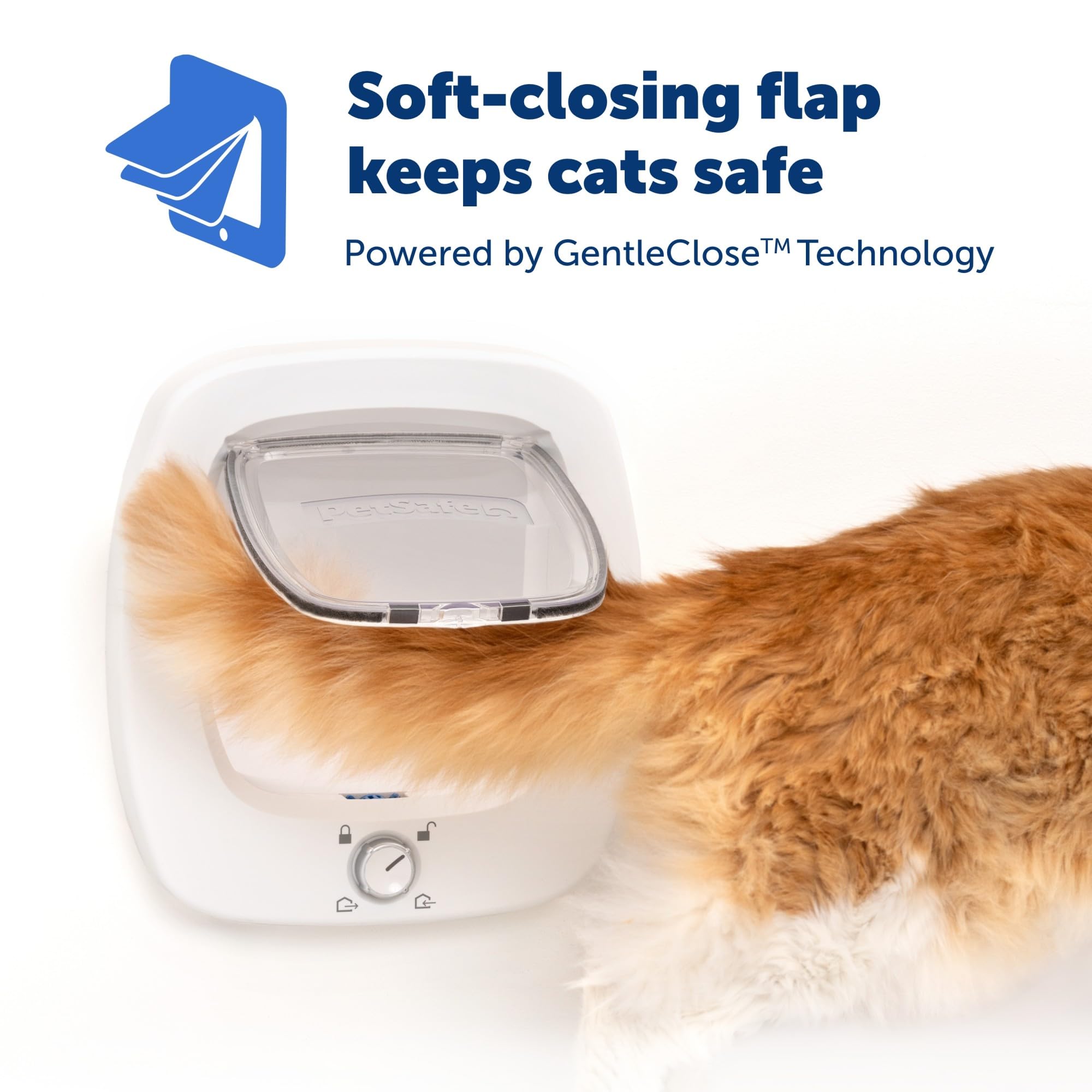 PetSafe Big Cat Door suited for interior and exterior doors expands pet roaming