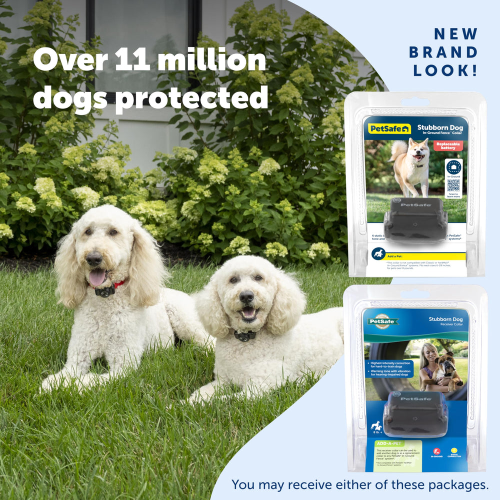 PetSafe boundary flags in use help visualize training area