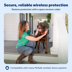 PetSafe boundary flags guide setup and visualize the fence line.