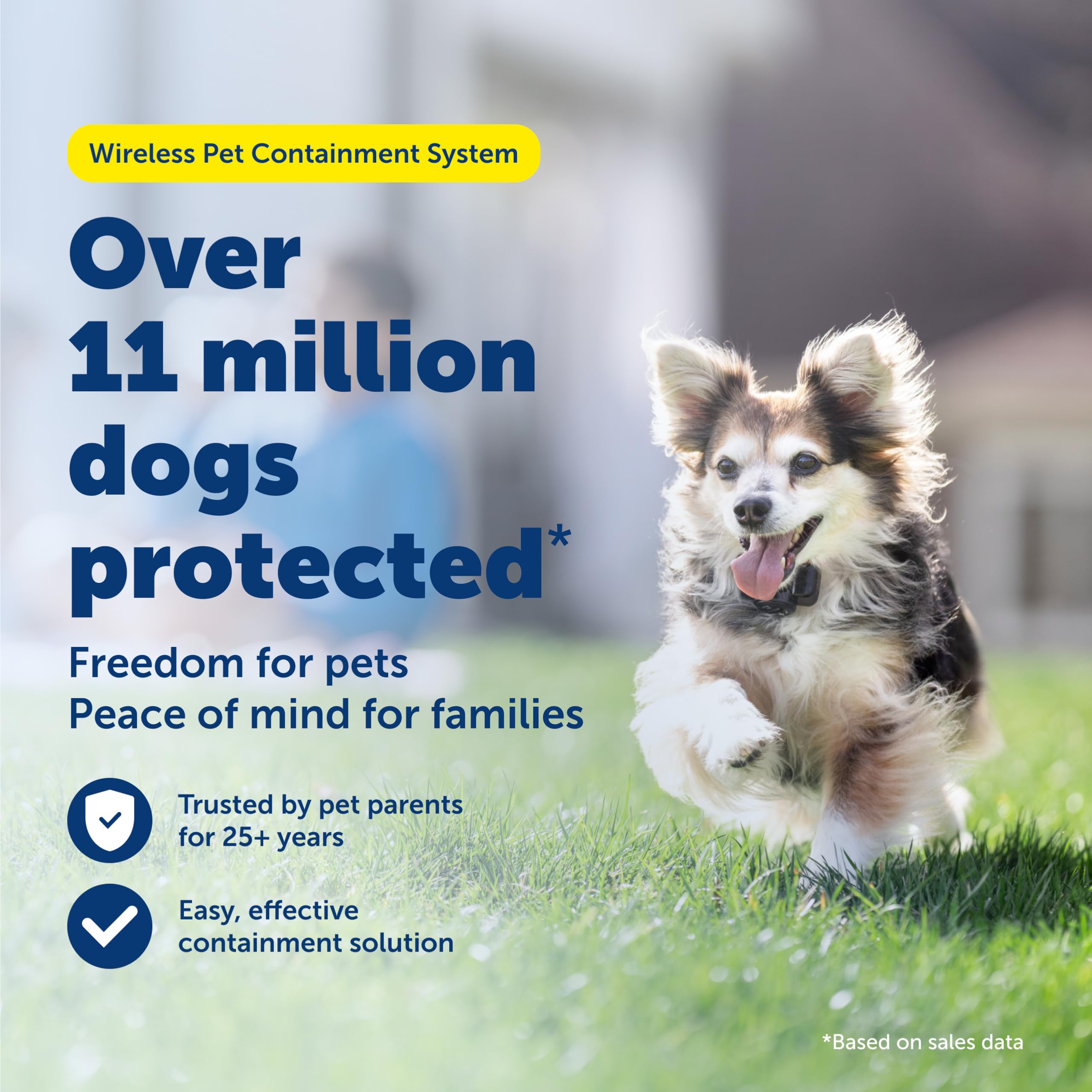 Petsafe boundary flags in the yard guide dogs toward the boundary edges.