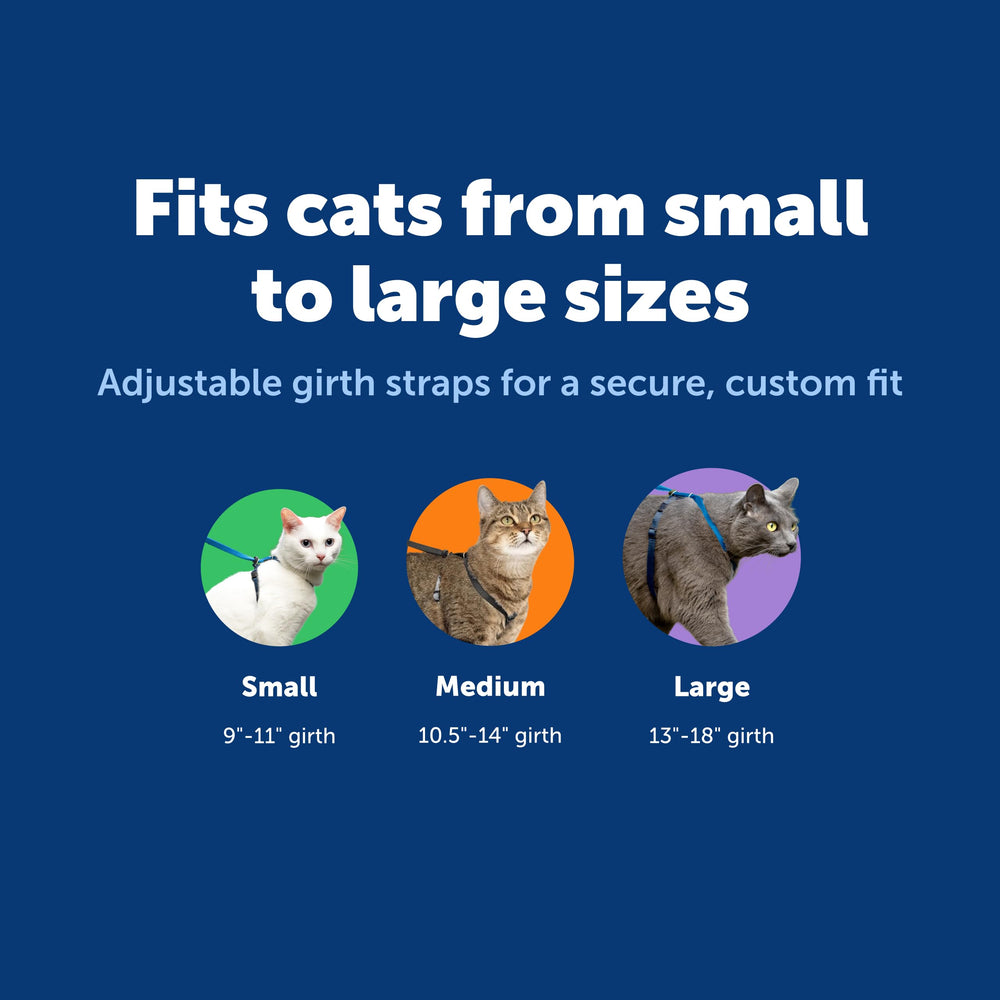 PetSafe Bungee Leash Kitty provides gentle give during outdoor exploration.