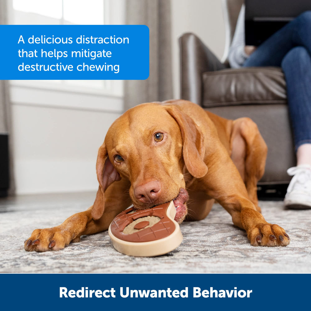 PetSafe Busy Buddy rings in dog-chew time image illustrate satisfying, mentally engaging treats