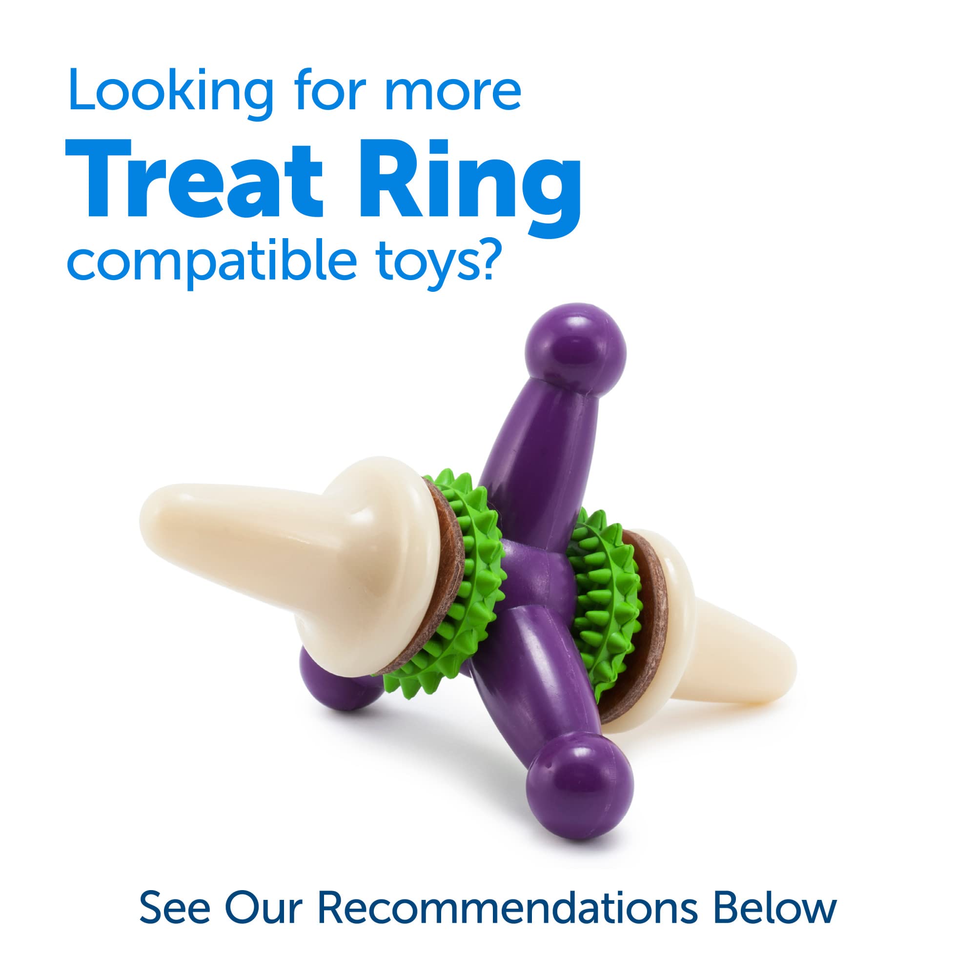 PetSafe Busy Buddy puppy training session scene shows focus through interactive toy