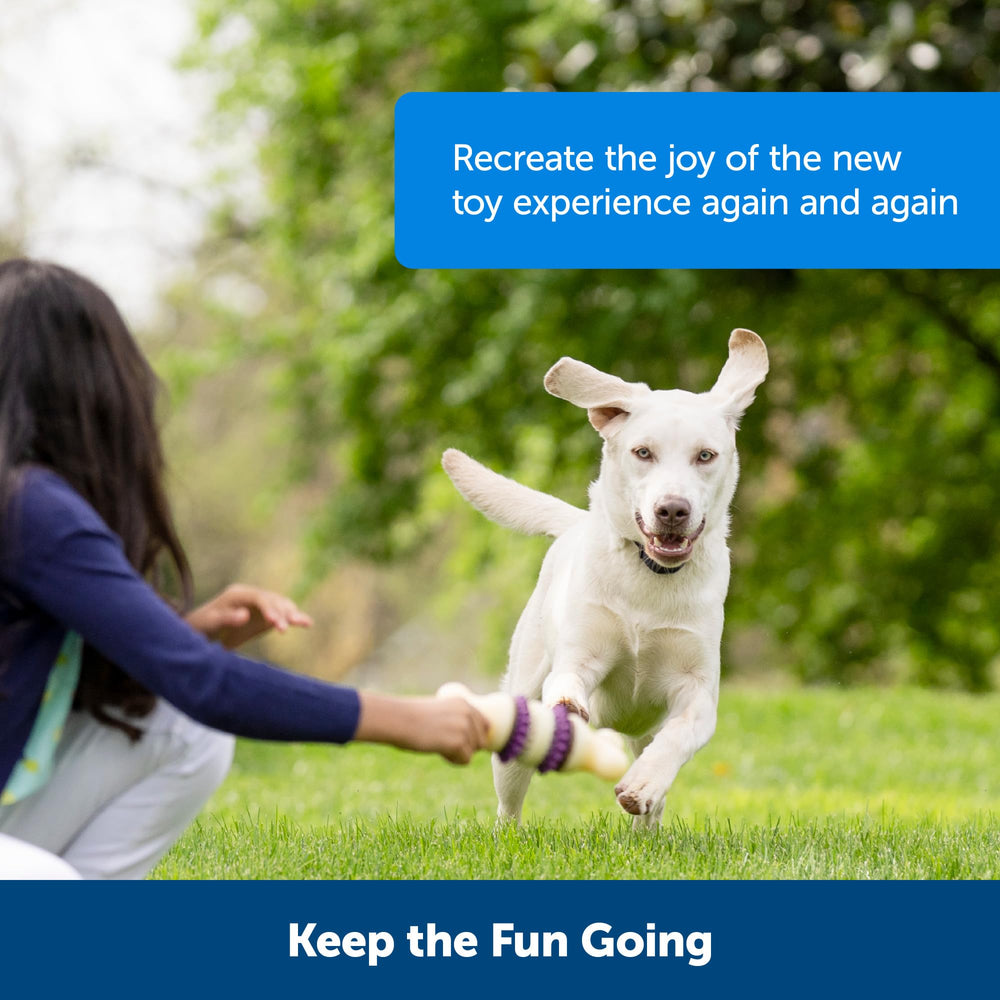 PetSafe Busy Buddy training reward image conveys positive reinforcement during training sessions