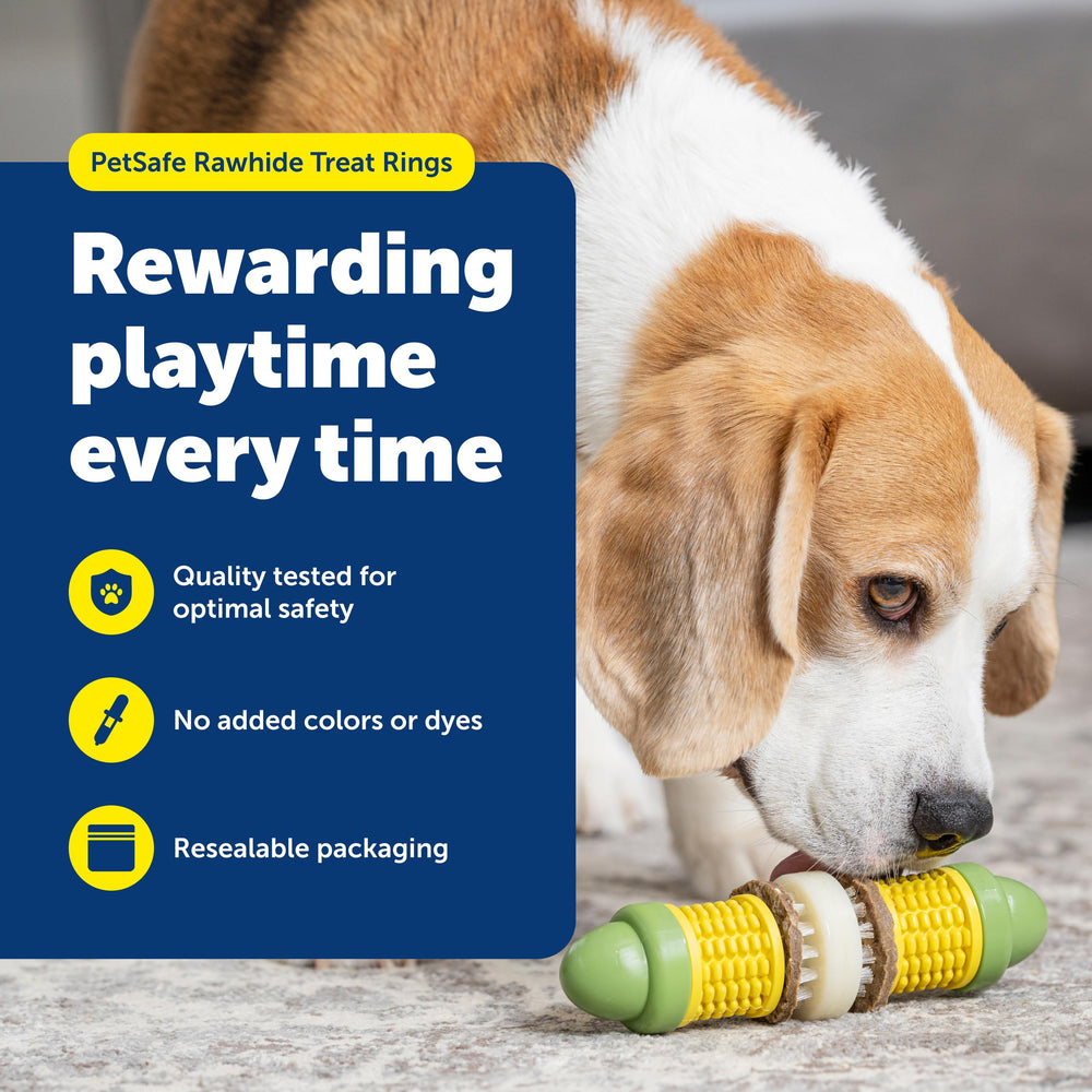 PetSafe Busy Buddy peanut butter flavor ring shown for canine enrichment