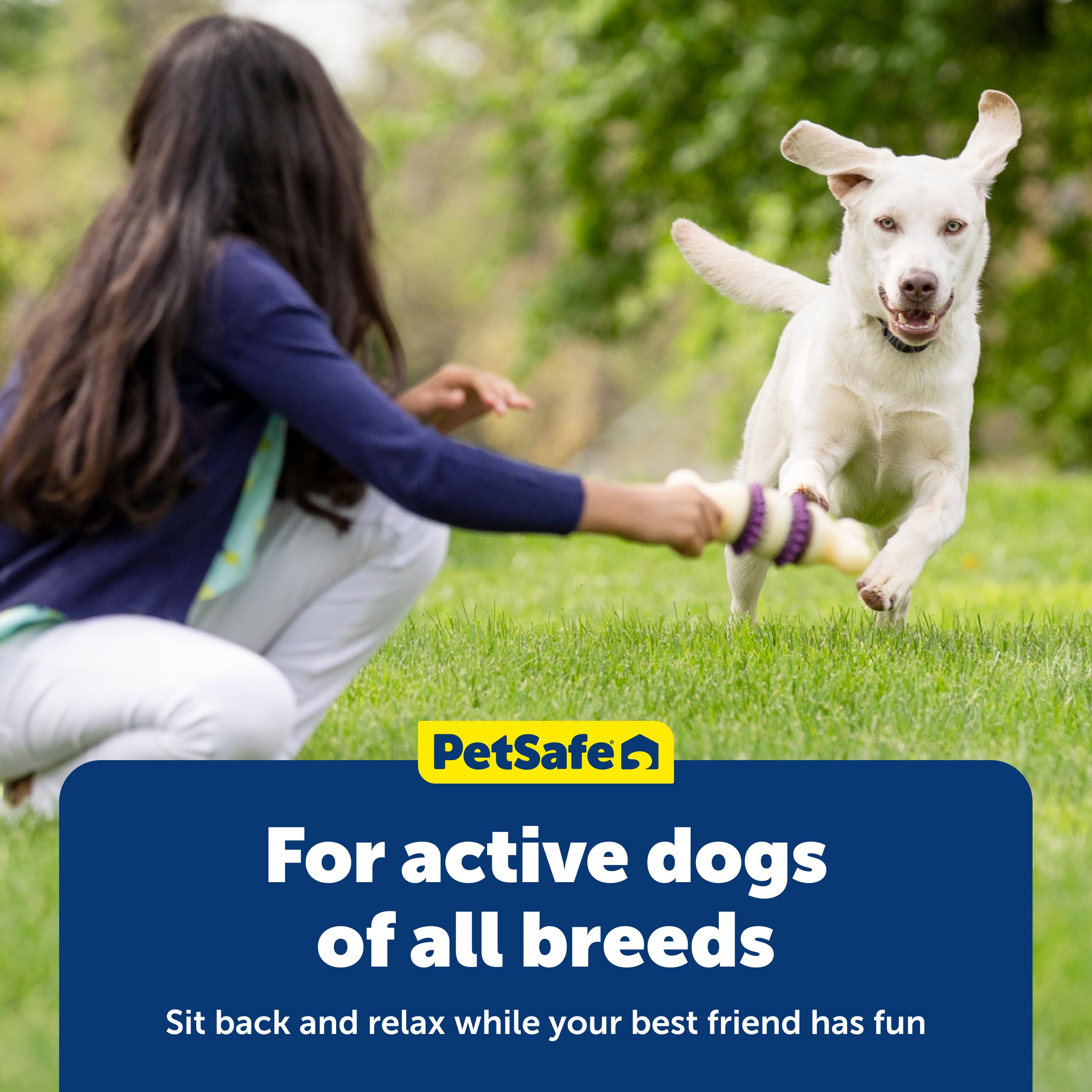 PetSafe Busy Buddy size B refill compatible with multiple dogs