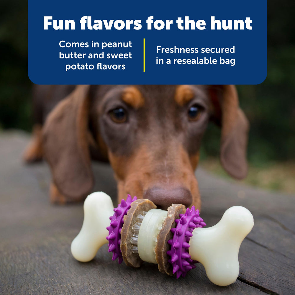 PetSafe Busy Buddy toy attachment being used in training