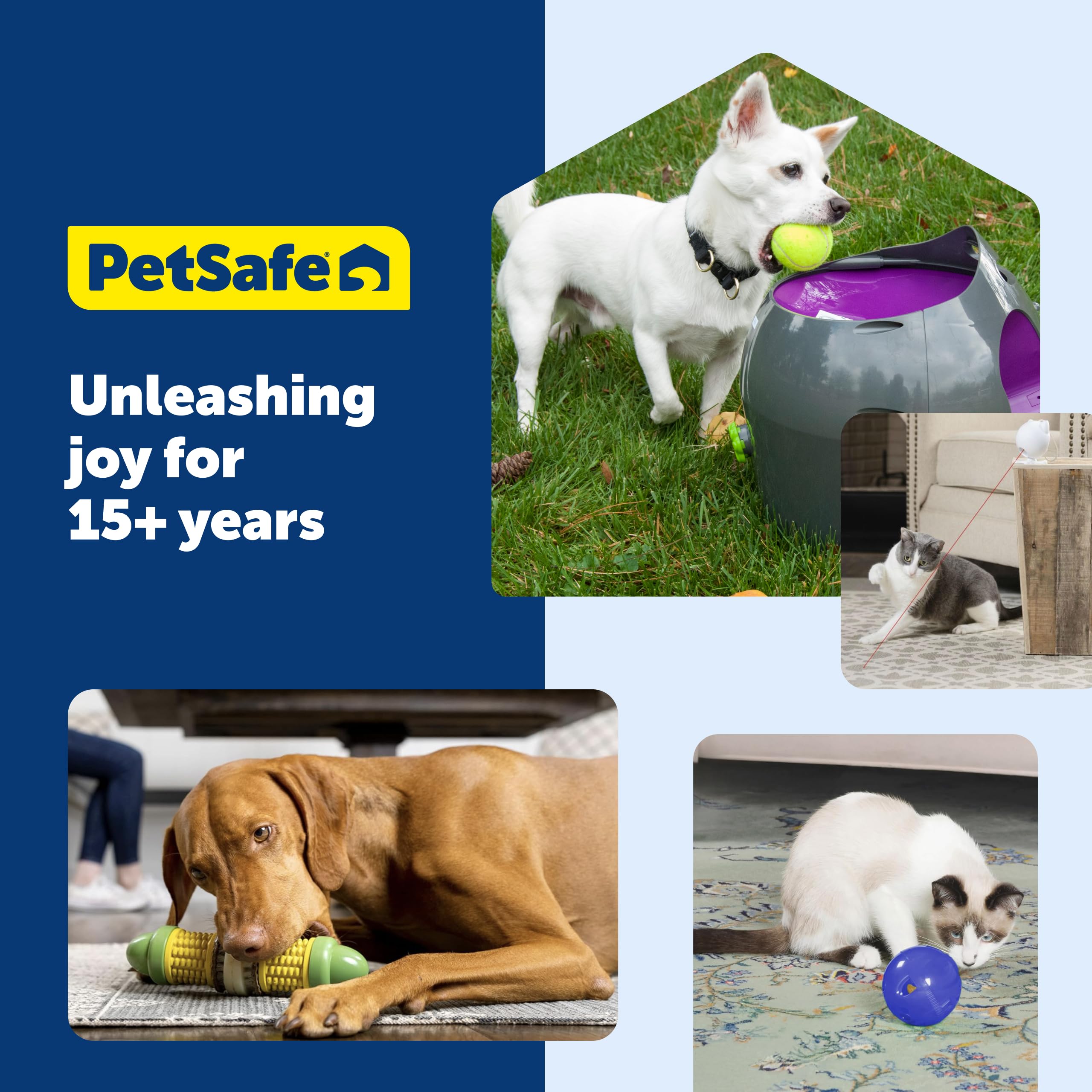PetSafe Busy Buddy training reward chew supports positive practice sessions