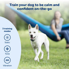 PetSafe collar closeup on durable polyester strap for long outdoor use.
