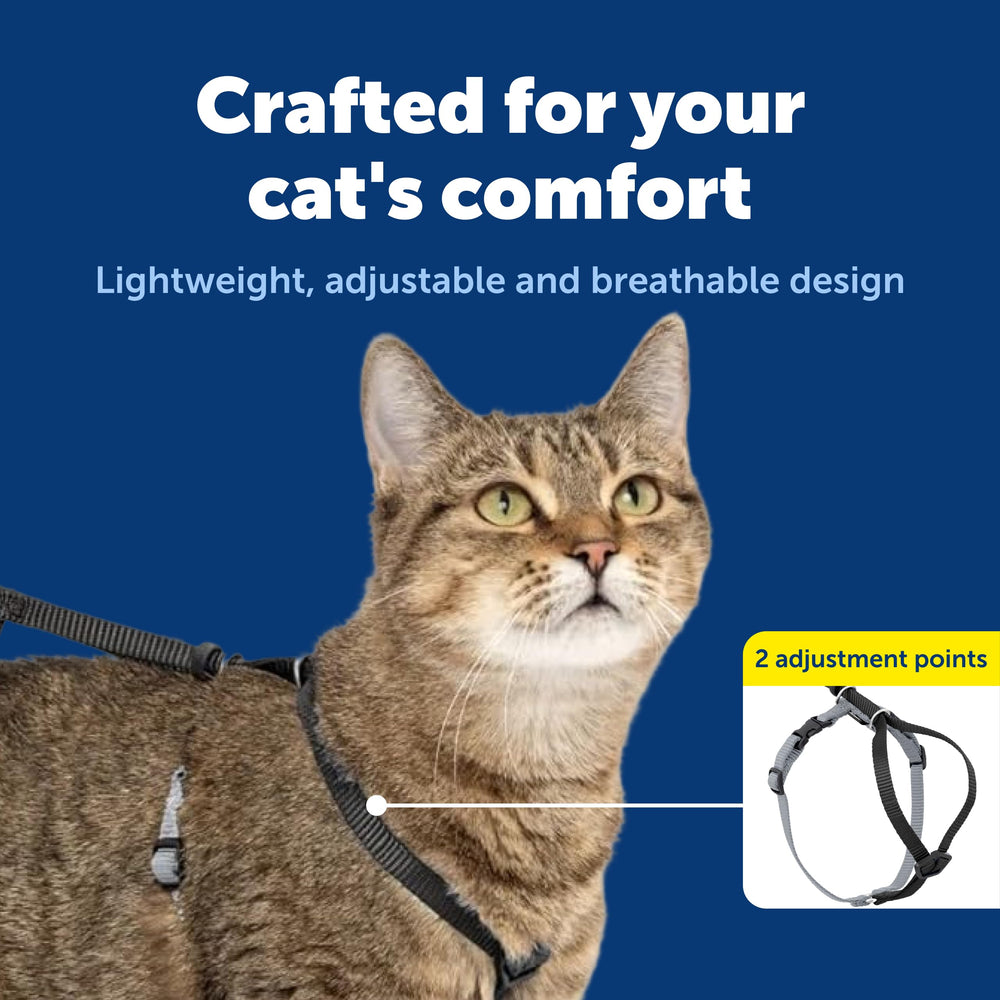 PetSafe Come With Me Kitty Harness dual girth adjustments ensure snug fit.