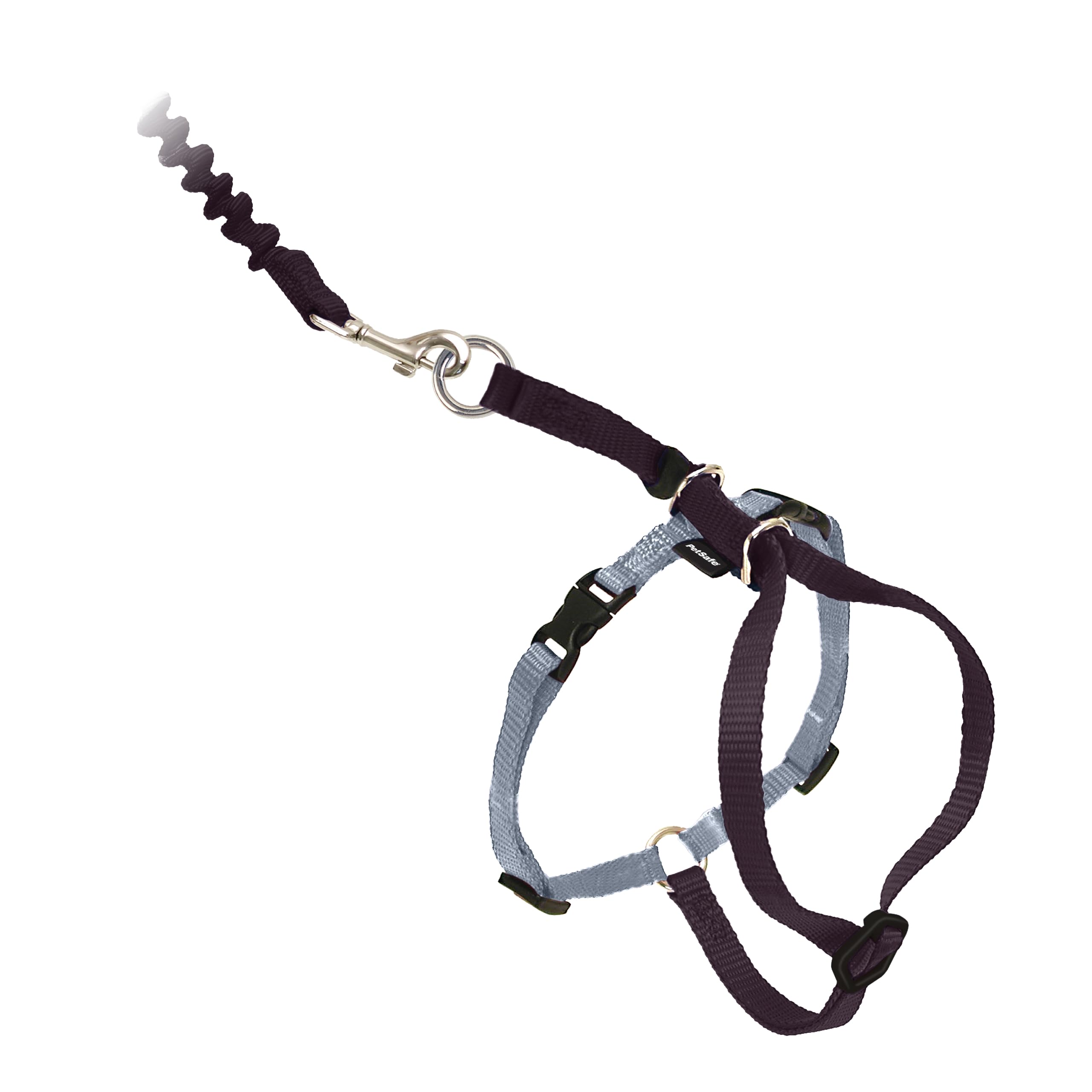 PetSafe Come With Me Kitty Harness large black on a cat for outdoor walks.
