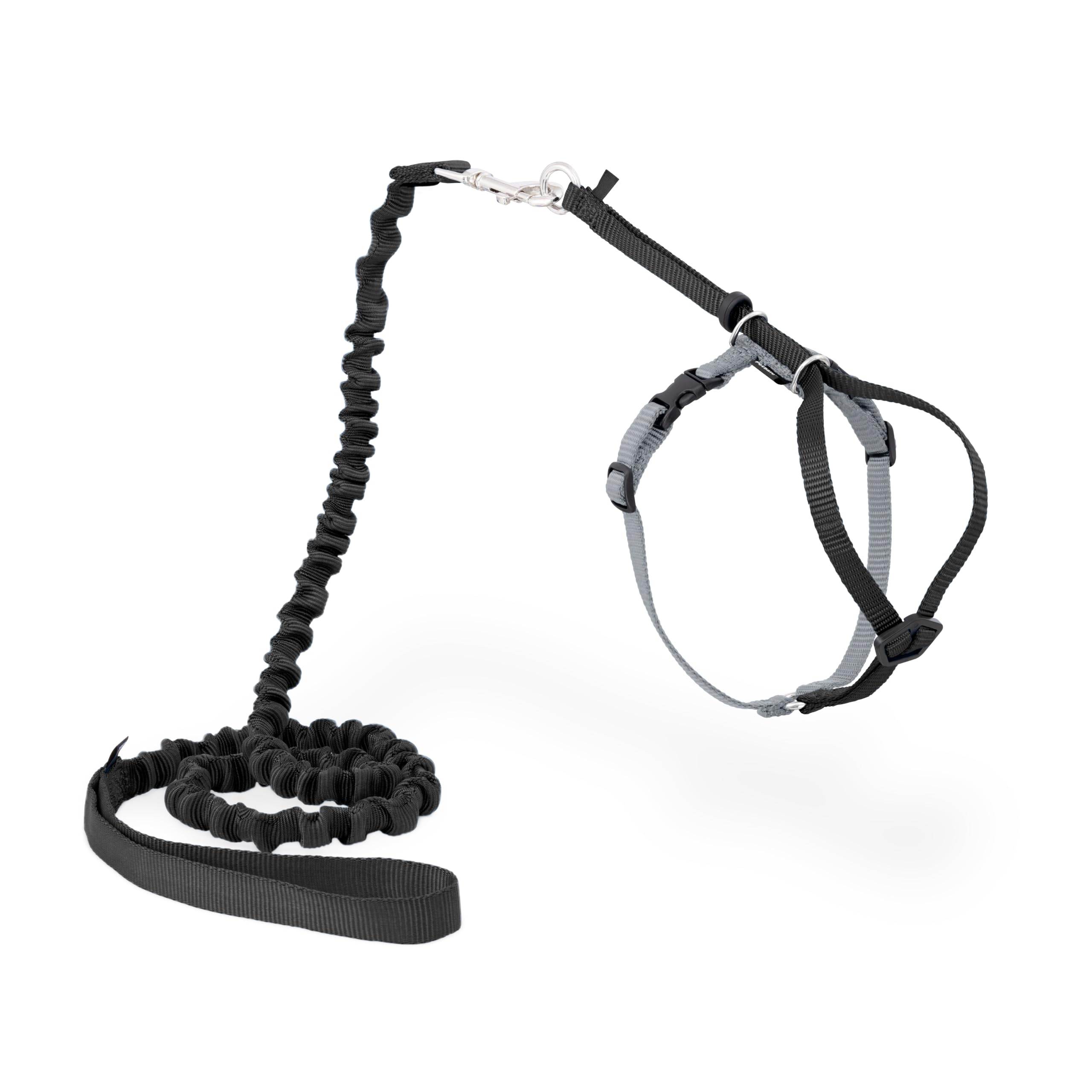 PetSafe Come With Me Kitty Harness on a cat enables secure outdoor exploration.