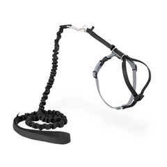 PetSafe Come With Me Kitty Harness on a cat enables secure outdoor exploration.