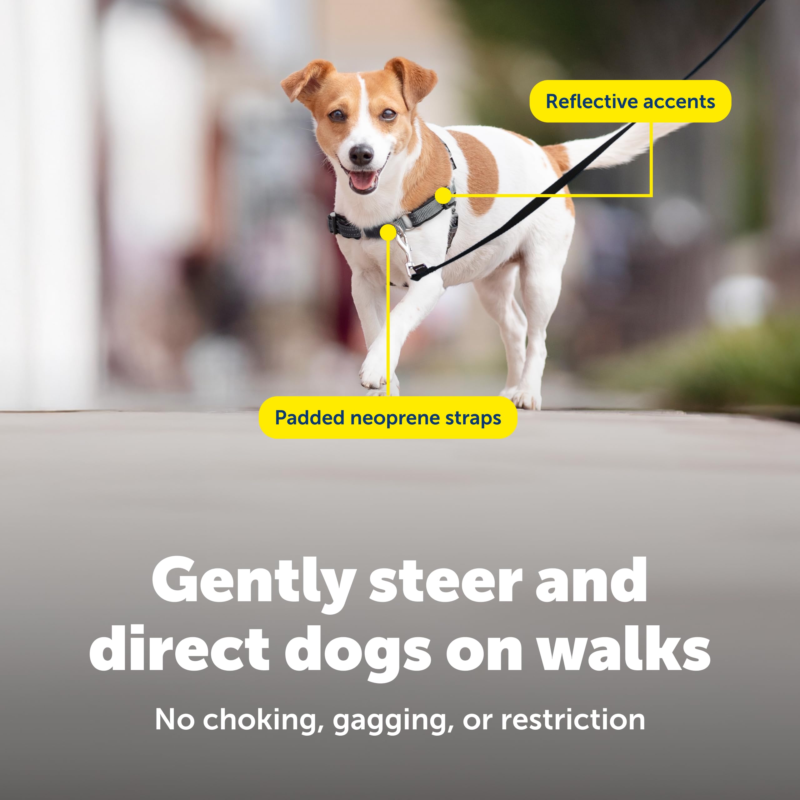 PetSafe Deluxe Easy Walk Harness anti-pull structure helps redirect lunging safely without choking