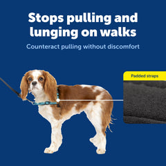 PetSafe Deluxe Easy Walk Harness colored belly straps streamline putting on and daily adjustments