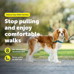 PetSafe Deluxe Easy Walk Harness quick-snap shoulder simplifies fitting for busy mornings