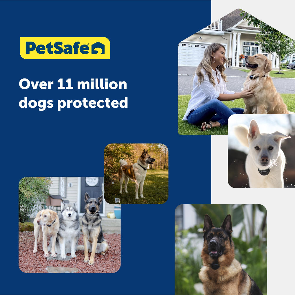 PetSafe DIY installation guide for easy setup