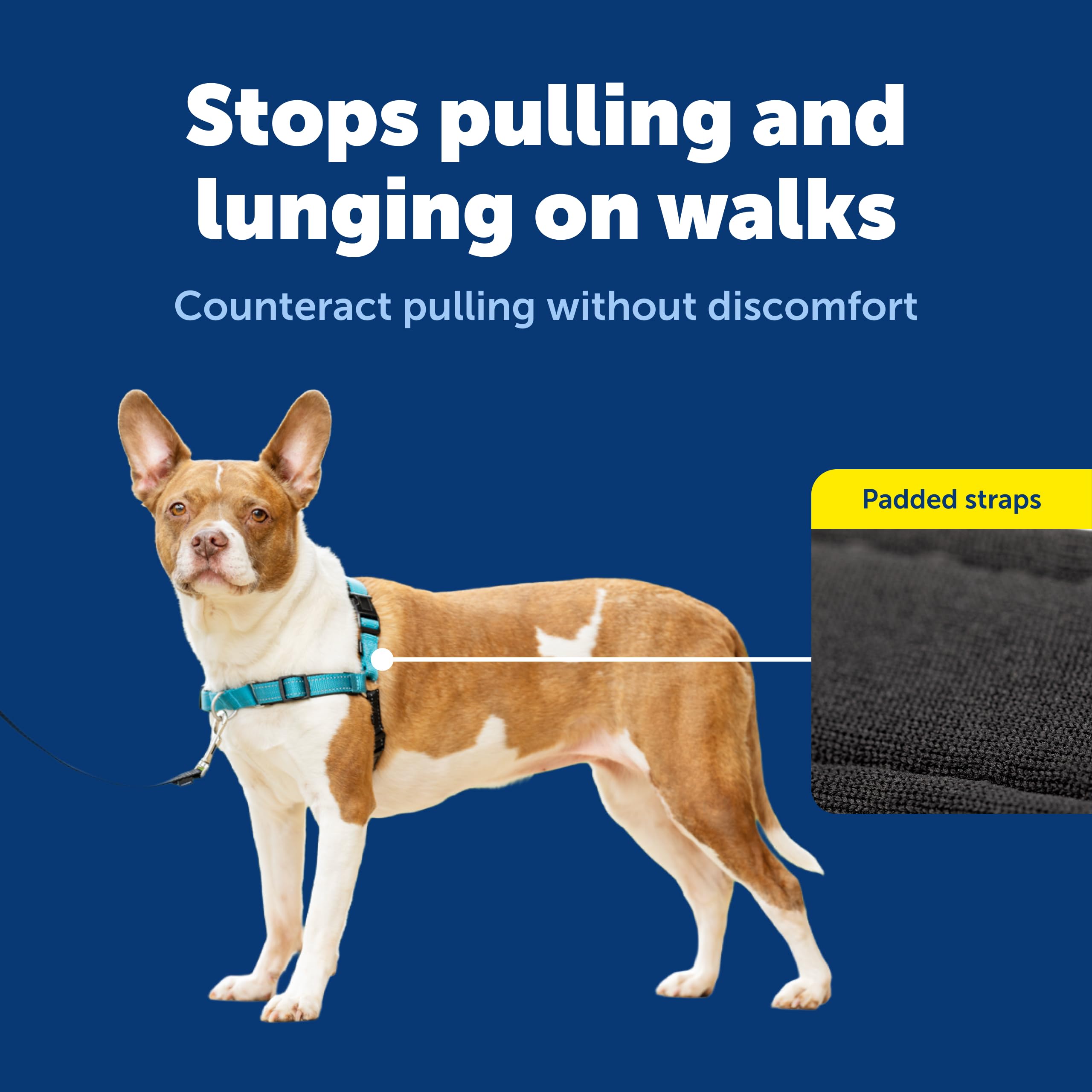 PetSafe Easy Walk Deluxe front-chest harness demonstrates quick-snap straps for fast fitting.