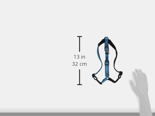 PetSafe Easy Walk Deluxe harness with reflective strips increases night visibility.