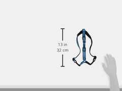 PetSafe Easy Walk Deluxe harness with reflective strips increases night visibility.