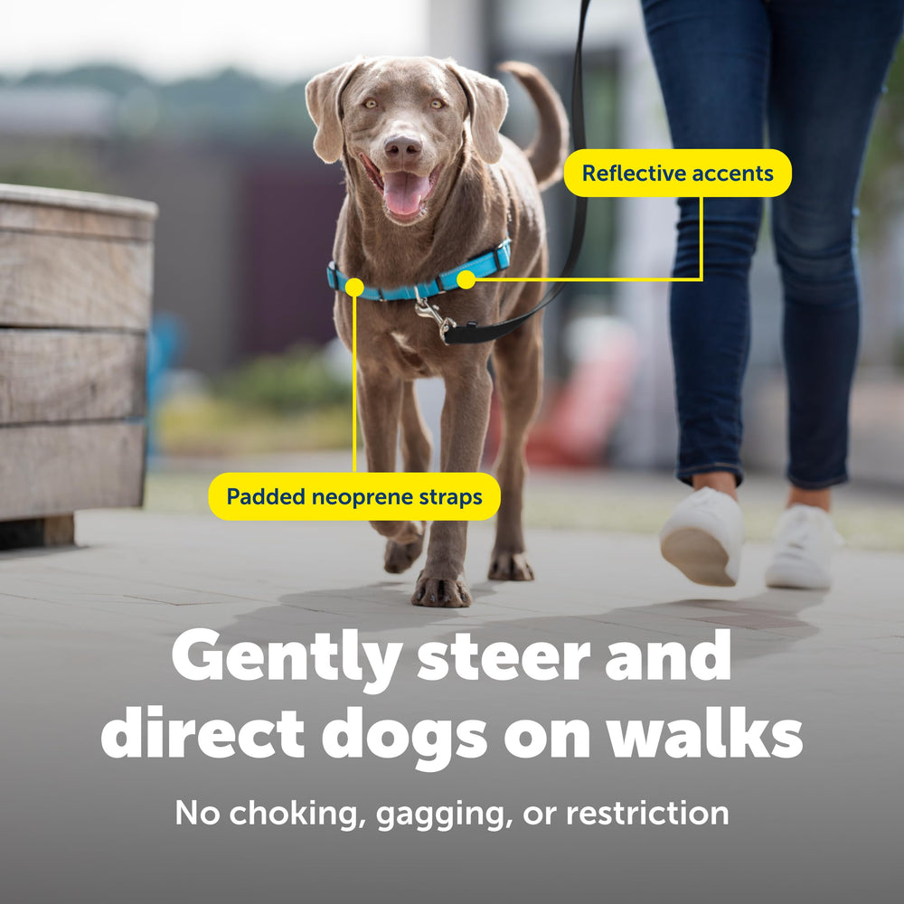 PetSafe Easy Walk Deluxe veterinary-inspired design trusted by trainers.