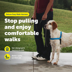 PetSafe Easy Walk Deluxe worn by dog showing quick-snap straps for fast fitting.