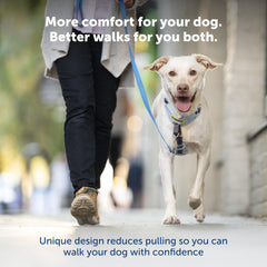 Petsafe Easy Walk full-body padding keeps your dog comfortable during daily strolls.