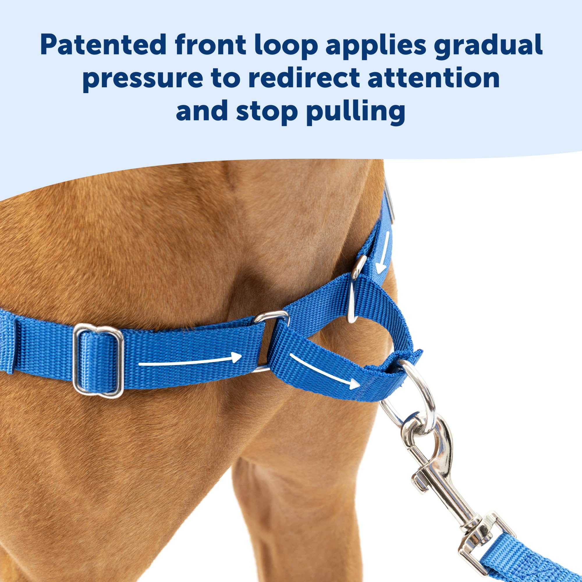 PetSafe Easy Walk harness adjustable comfort straps provide a customizable fit