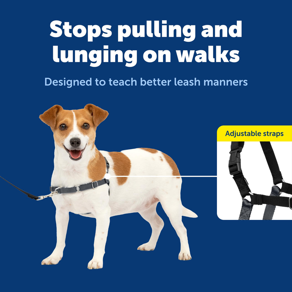 PetSafe Easy Walk harness with adjustable straps for a secure, comfortable fit.