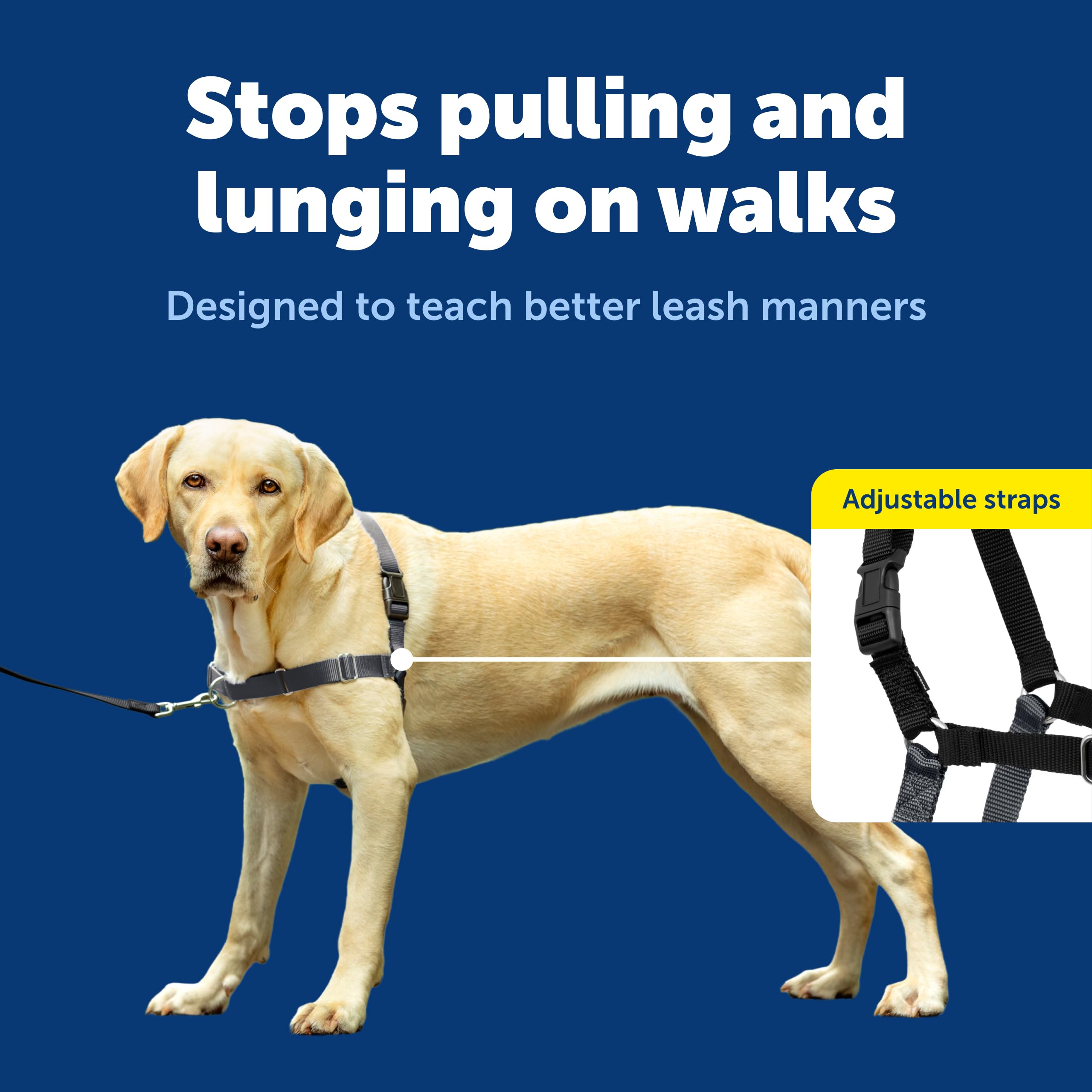 PetSafe Easy Walk Harness adjustable straps illustrating customized fit