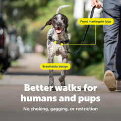 Petsafe Easy Walk harness adjustable straps image emphasizes customizable comfort for your dog.