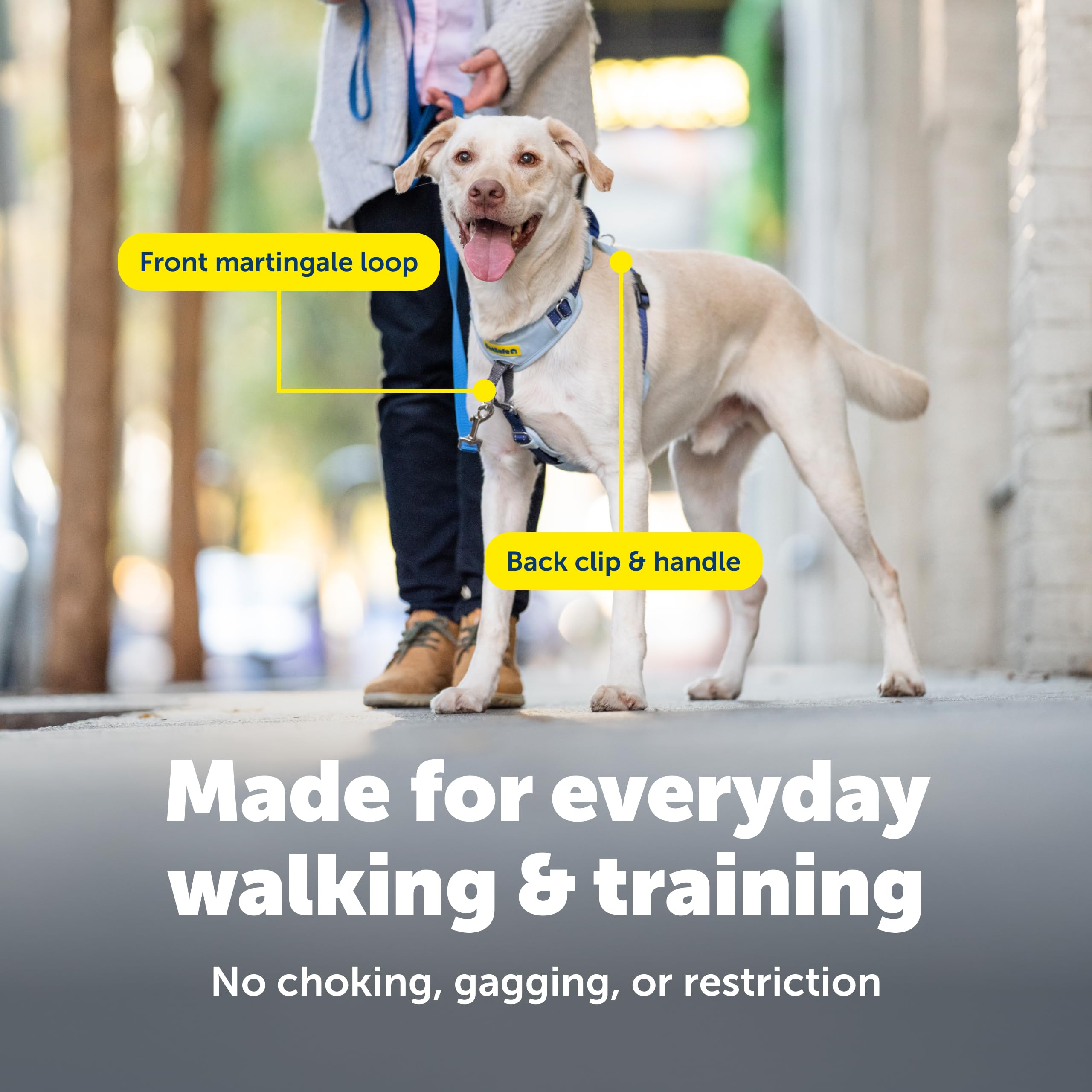 PetSafe Easy Walk harness back clip enables secure control during runs.